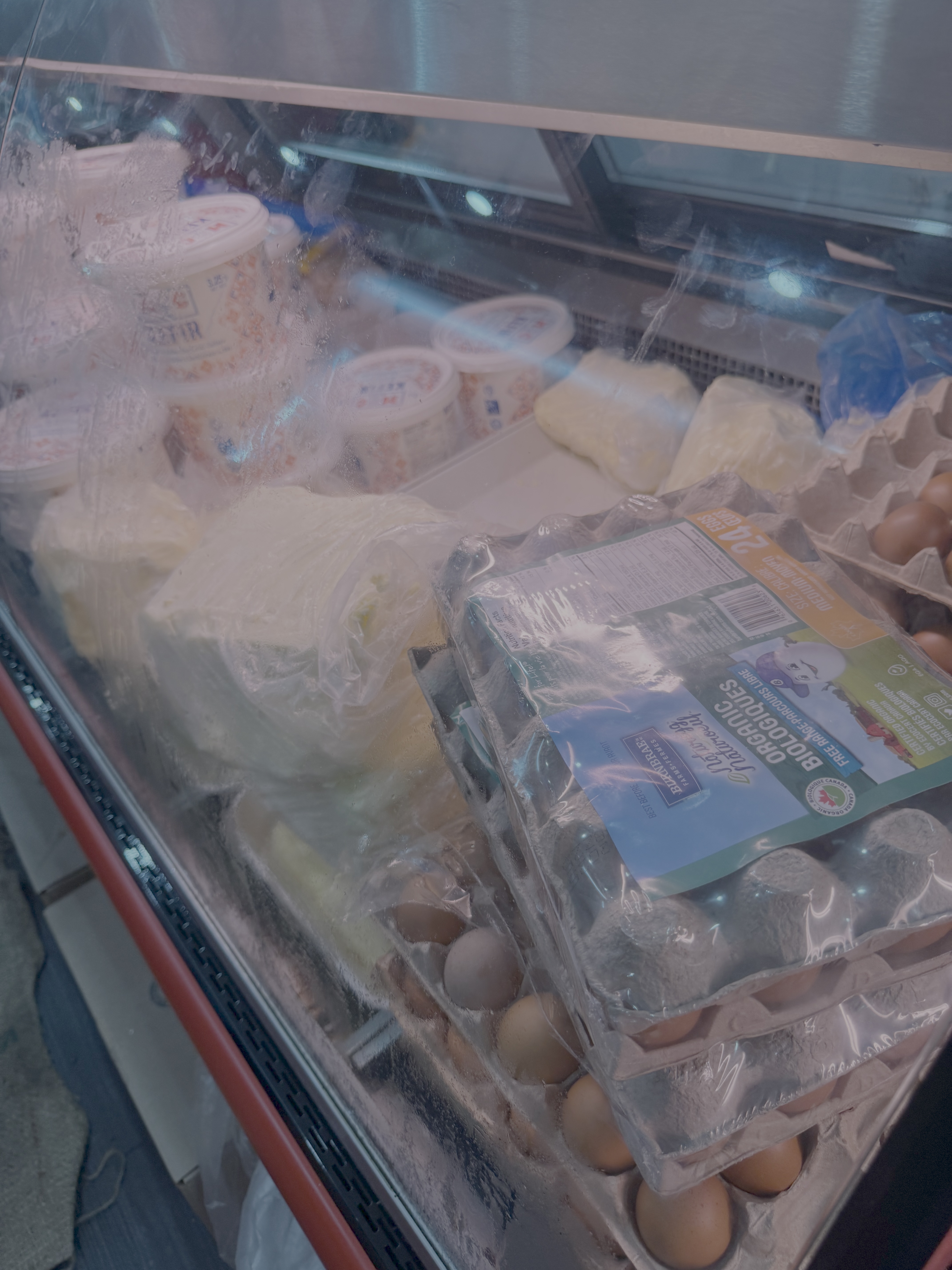 Inside the Shop